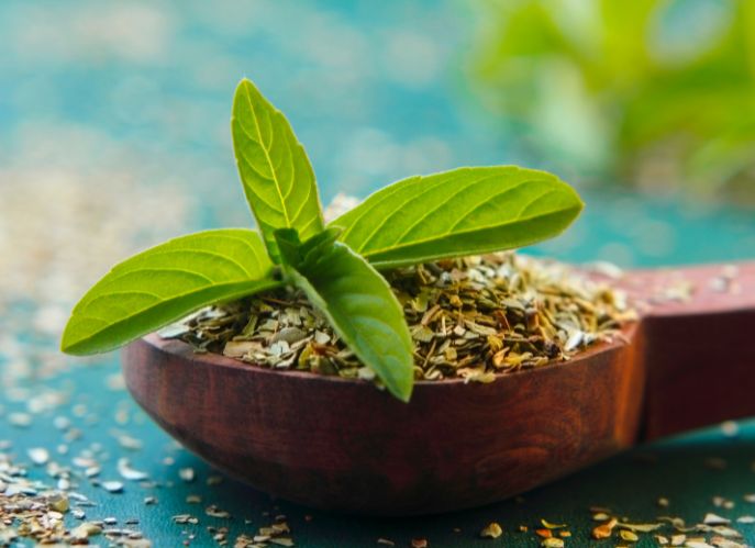 Exploring Tulsi: Health Benefits, Uses, and What You Need to Know | Herbal Goodness