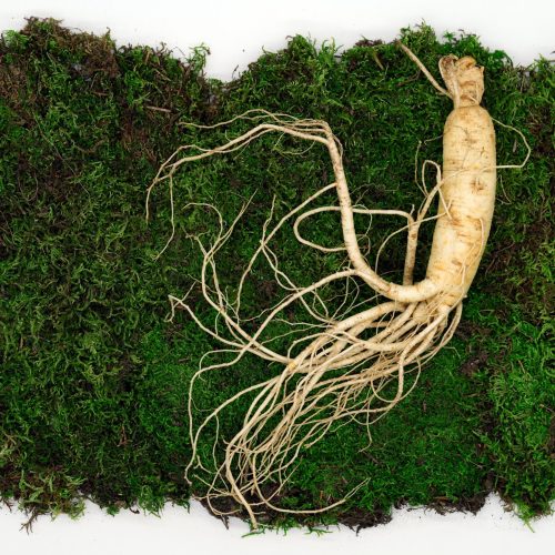 6 Incredible Benefits of Ginseng and How to Harness Them| Herbal Goodness