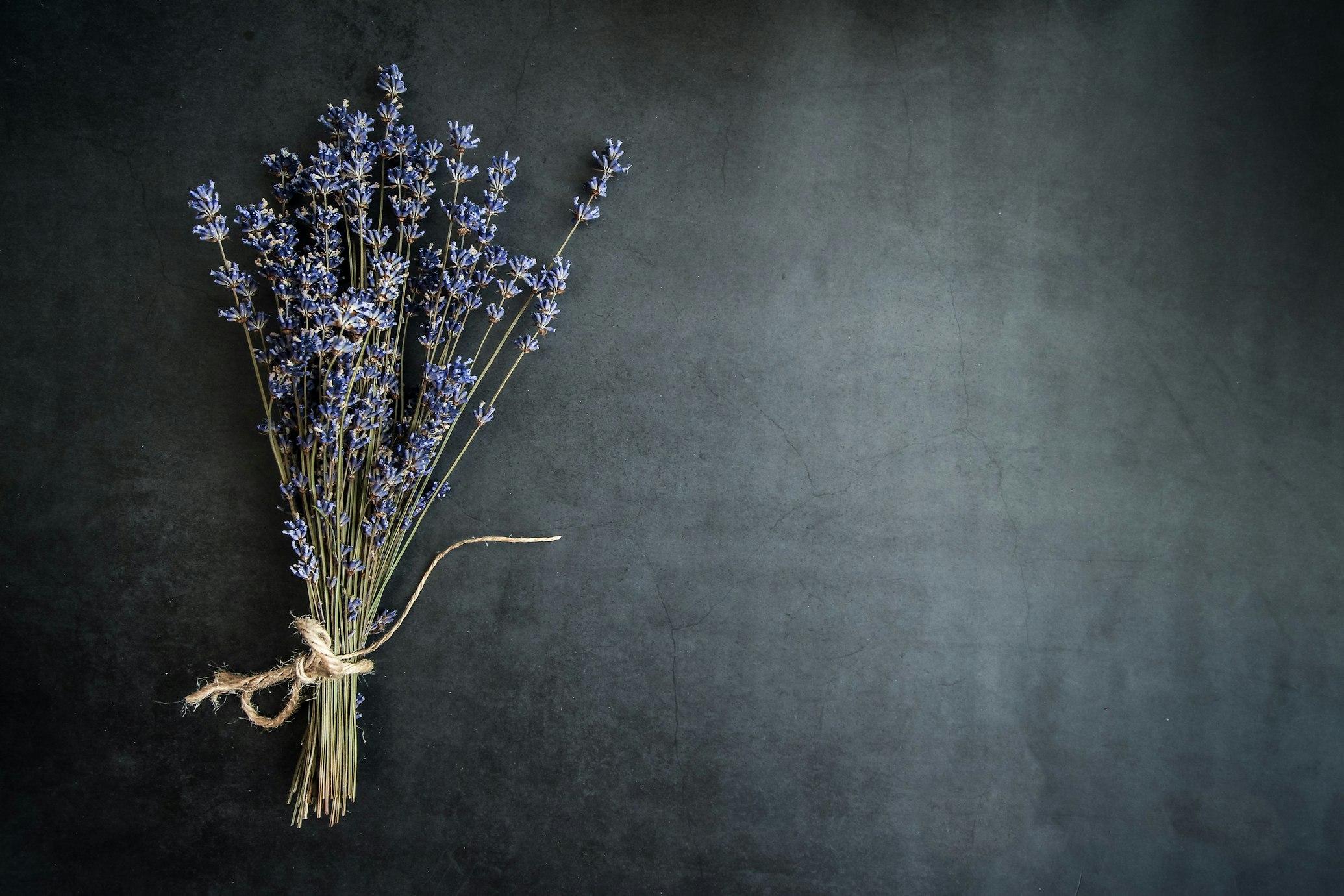 The Safety and Precautions of Lavender